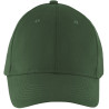 VERT BOUTEILLE
