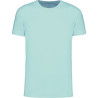 Ice Mint