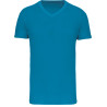 Tropical Blue