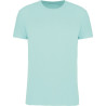 Ice Mint