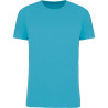 Sea Turquoise