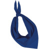 Light Royal Blue
