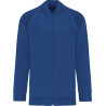 Dark Royal Blue