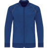Dark Royal Blue