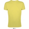 T-shirt homme : REGENT FIT (00553)