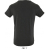 T-shirt homme : REGENT FIT (00553)