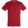 Tee Shirt homme REGENT