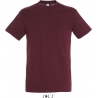 Tee Shirt homme REGENT