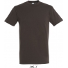 Tee Shirt homme REGENT