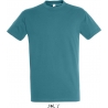 Tee Shirt homme REGENT