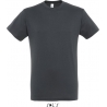 Tee Shirt homme REGENT