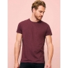 T-shirt homme : REGENT FIT (00553)