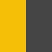 Sporty Yellow / Black