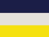 Navy/Oyster/Yellow