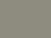 Pastel Gray Green