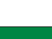 White/Kelly Green Organic