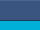 French Navy/Turquoise