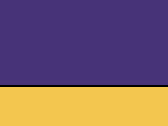 Purple/Yellow