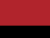 Red/Anthracite