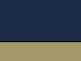 Navy/Sand