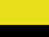 Fluorescent Yellow/Black